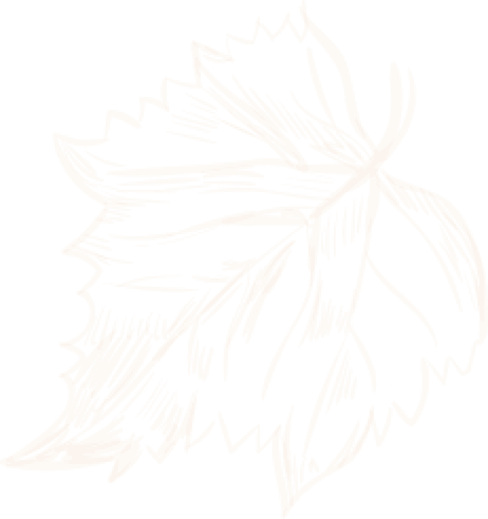 sketch-leaf-3