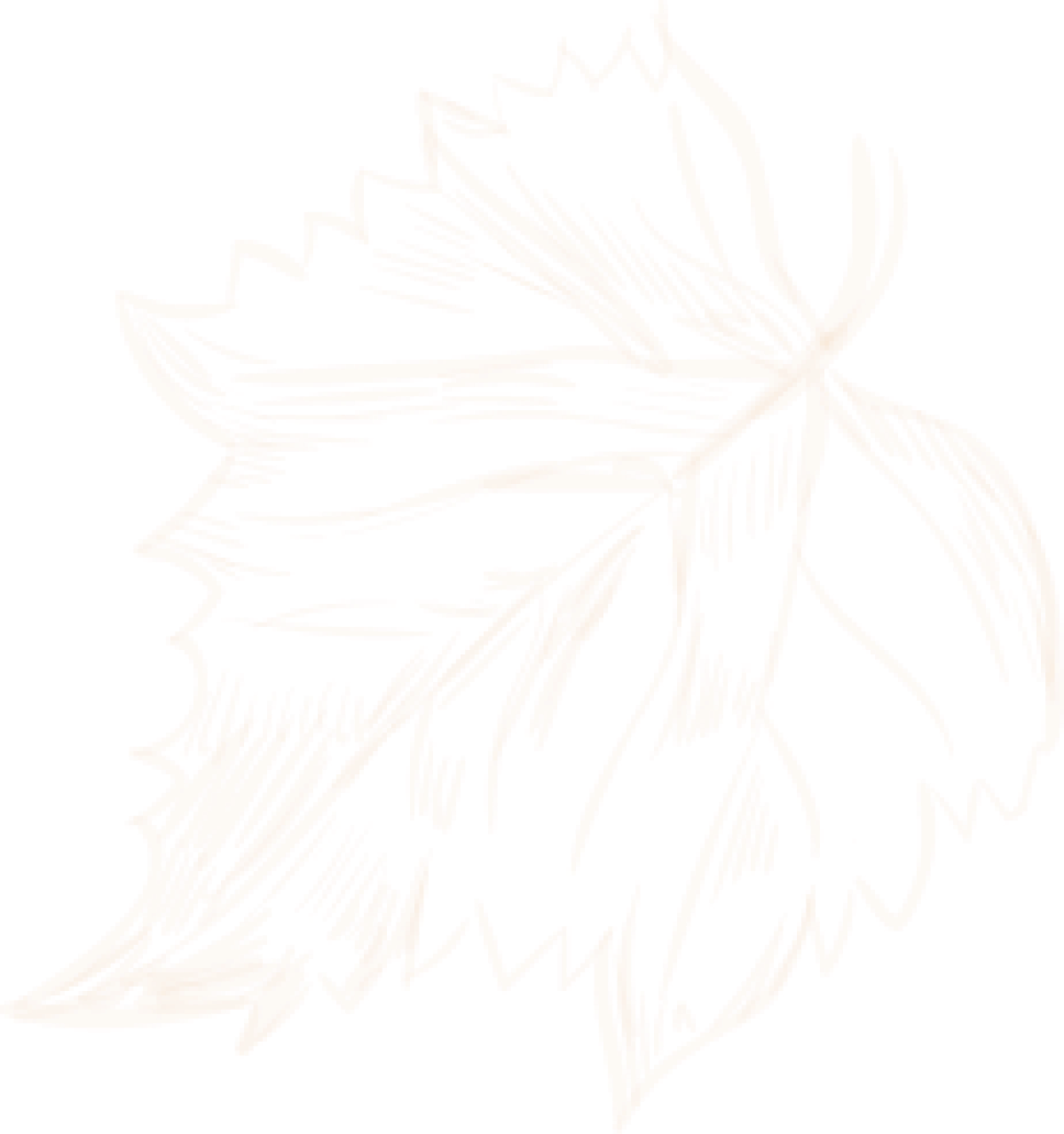 sketch-leaf-3